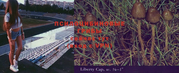 apvp Богданович