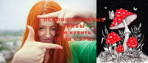 Альфа ПВП Богородск