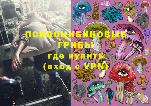 apvp Богданович