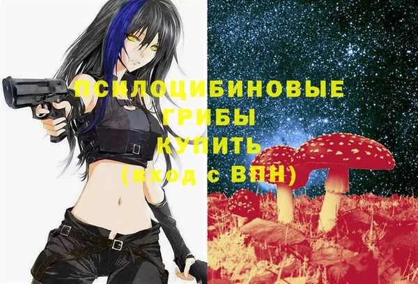 прущая мука Богородицк